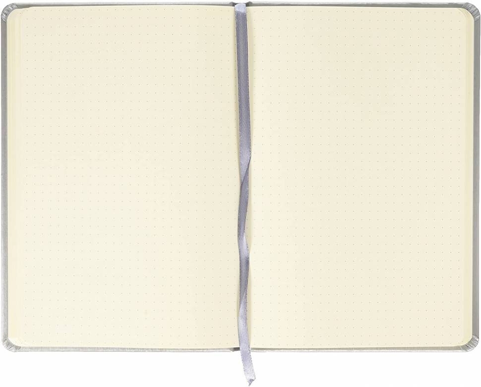 Блокнот в точку Rhodia Webnotebook твердая обложка серебристый А6 / 96 листов / 90 гм